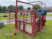 Cow catcher to suit telehandler - 2