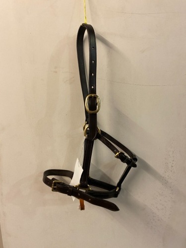 Pony/yearling new leather headcollar