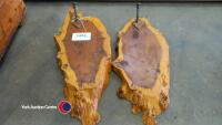 Set of Yew coat hooks - 2