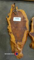 Set of Yew coat hooks - 3