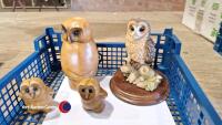Wildlife Studio Hexham set of 3 x owls
