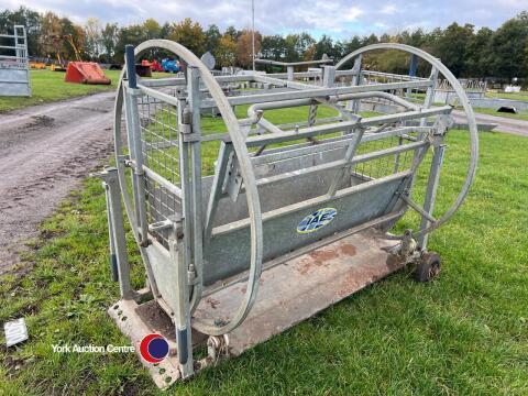 IAE variable size turnover crate