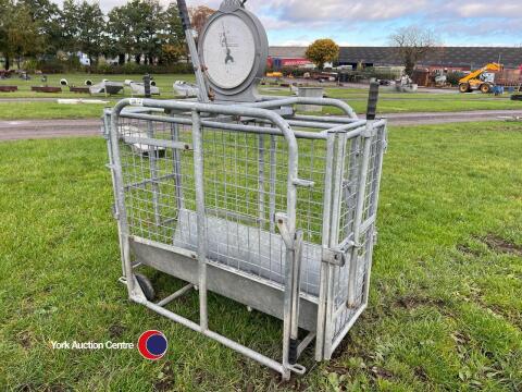 IAE sheep / lamb weigh crate