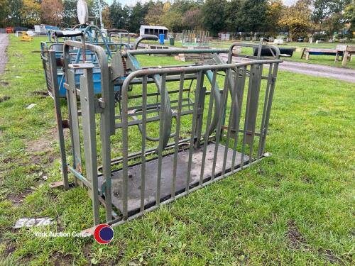 Sheep tip over crate