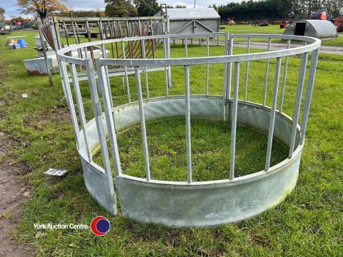 Sheep feed ring