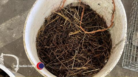 Tub of 2in lost head nails