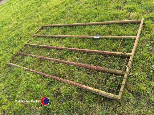 7ft3in gate