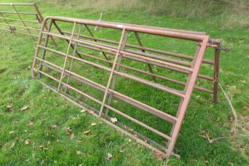 3 x metal gates, 2 x 9ft and 1 x 8ft6in