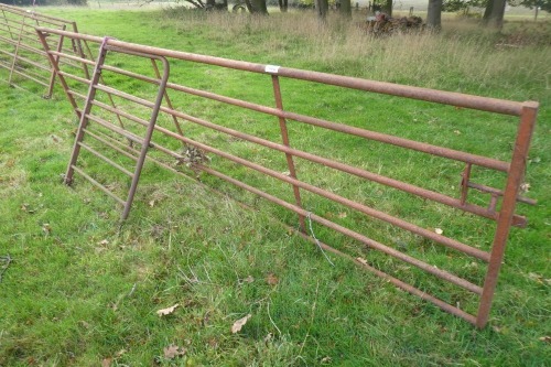 14ft 6ins metal gate and access gate