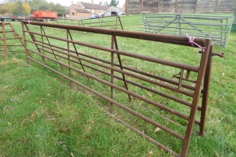 2 x 14ft metal gates