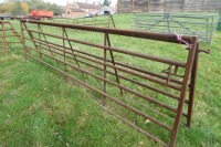 2 x 14ft metal gates