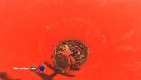 Vintage steriliser, believed for soil - 3