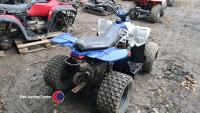 Child's petrol quad, recent new battery - 3