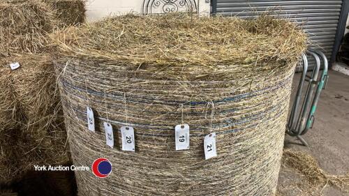 10 x 4ft 6 round bales of horse hay, dust and weed free lovely clean stuff bales are baled tight so there plenty in them