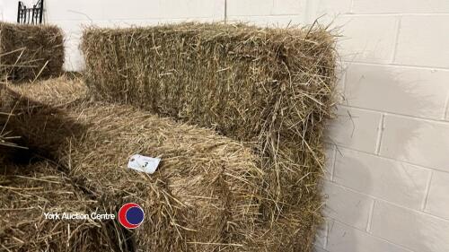 10 x small bales of 2024 hay, to collect from York Auction Centre