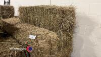 10 x small bales of 2024 hay, to collect from York Auction Centre