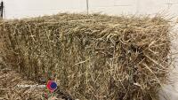 10 x small bales of 2024 hay, to collect from York Auction Centre - 2