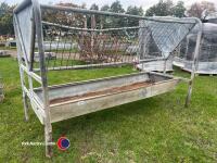 Cattle trough with hayrack