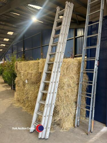 Triple ladders