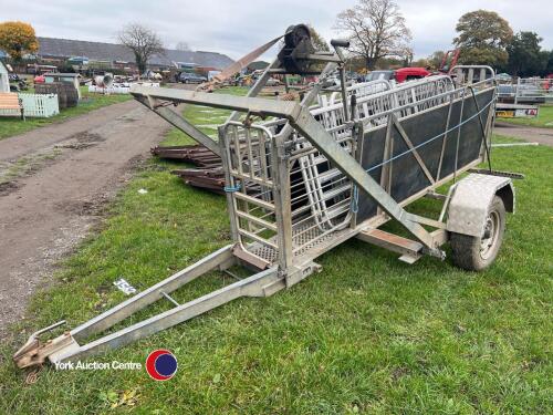 Rappa mobile sheep handling race