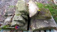 Sandstone coping stones and ridges - 2