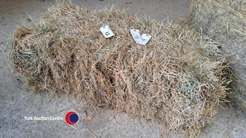 25 x small bales of 2024 hay, collect from YO30