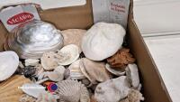 Box of sea shells - 2