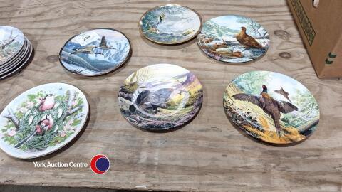 6 x highly collectable China bird plates