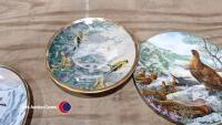 6 x highly collectable China bird plates - 4