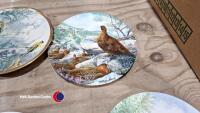 6 x highly collectable China bird plates - 5