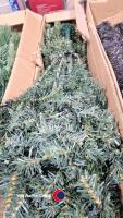 2 x boxed 6ft Christmas trees - 3