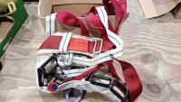 Bundle of climbing harnesses