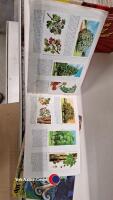 Collection of Brooke Bond and PG Tips trade cards in albums, plus some loose and cigarette cards - 6