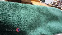 Large emerald green rug