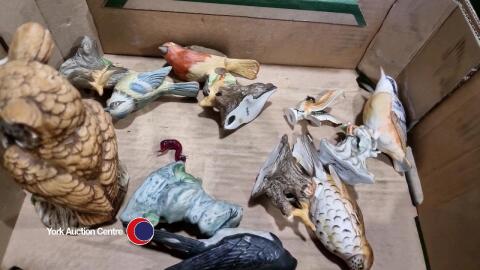 Collection of bird ornaments