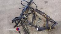 Selection of horse tack etc - 3