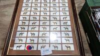 Original Horse framed cigarette cards - 2