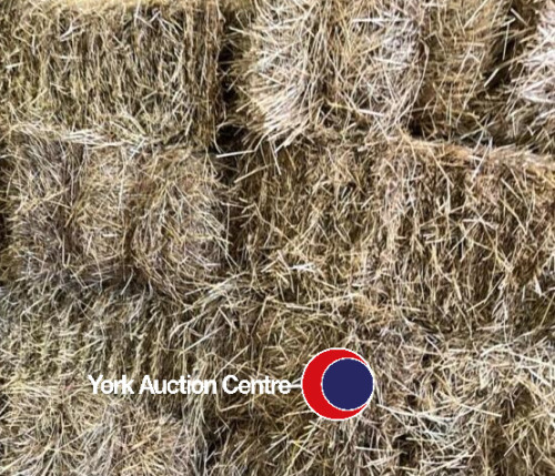 20x Conventional bales of hay, baled June 2024, collection from YO62