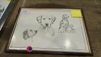 Golden retriever picture signed Joel Kirk