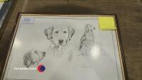 Golden retriever picture signed Joel Kirk - 2