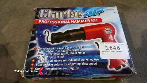 Professional hammer drill