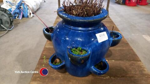 Blue glazed flower container with mint plants in