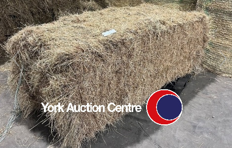 15x Mini Heston bales of meadow hay, 2024 baled, approx 6x3, Free delivery within 10 miles of York Auction Centre