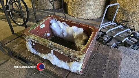 Vintage cow trough (ideal planter)