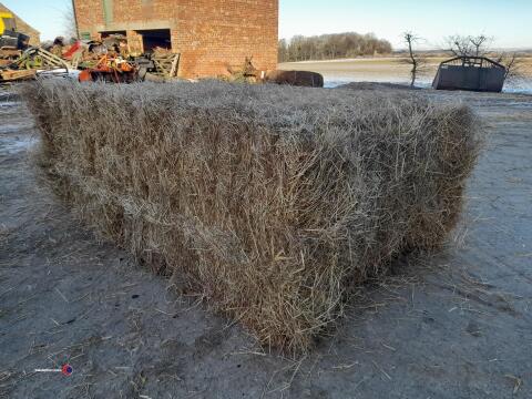 20x Quadrant bales of 2024 hay, collection from YO62 4 strictly within 3 weeks of sale