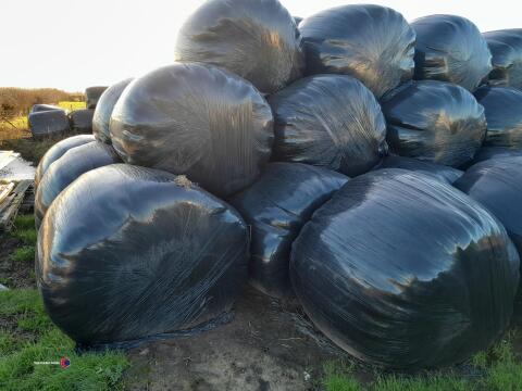 20x Round bales of 2024 2nd cut Silage, solid bales, approx 4', collection from YO18 8