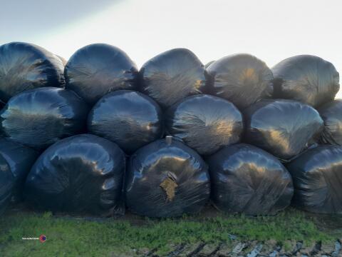 20x Round bales of 2024 2nd cut Silage, solid bales, approx 4', collection from YO18 8