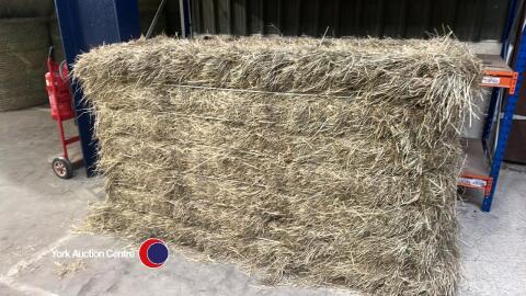 50x Large square bales of hay, approx 4 x 3 x 7'6, collection from YO26 6