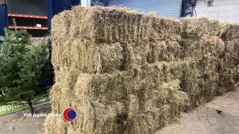 20x Conventional bales of 2024 meadow hay, collection from York Auction Centre