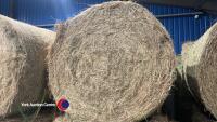 8x Round bales of 2024 herbal rich hay, collection from York Auction Centre - 3